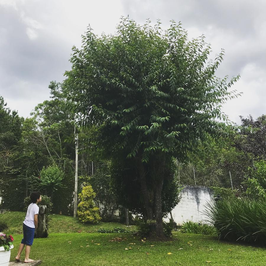 Pousada Recanto Castelinho Campos do Jordão Zewnętrze zdjęcie