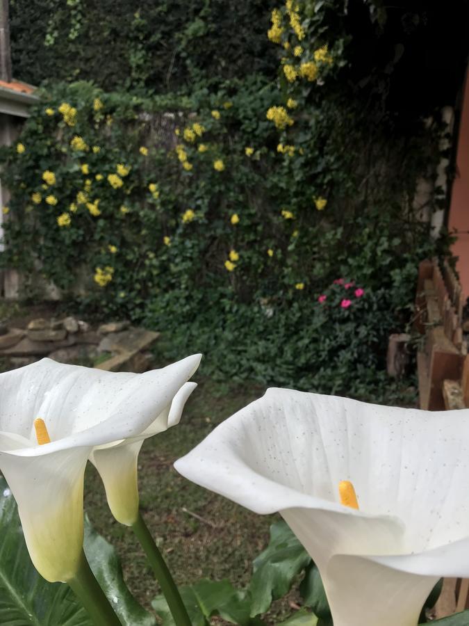Pousada Recanto Castelinho Campos do Jordão Zewnętrze zdjęcie